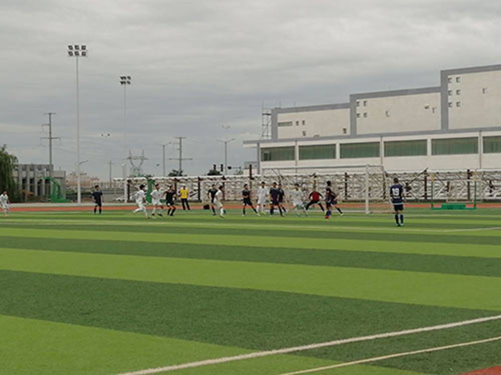 图片包含 草, 天空, 运动, 竞技运动描述已自动生成